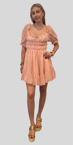 Maya ruffle mini dress-blush