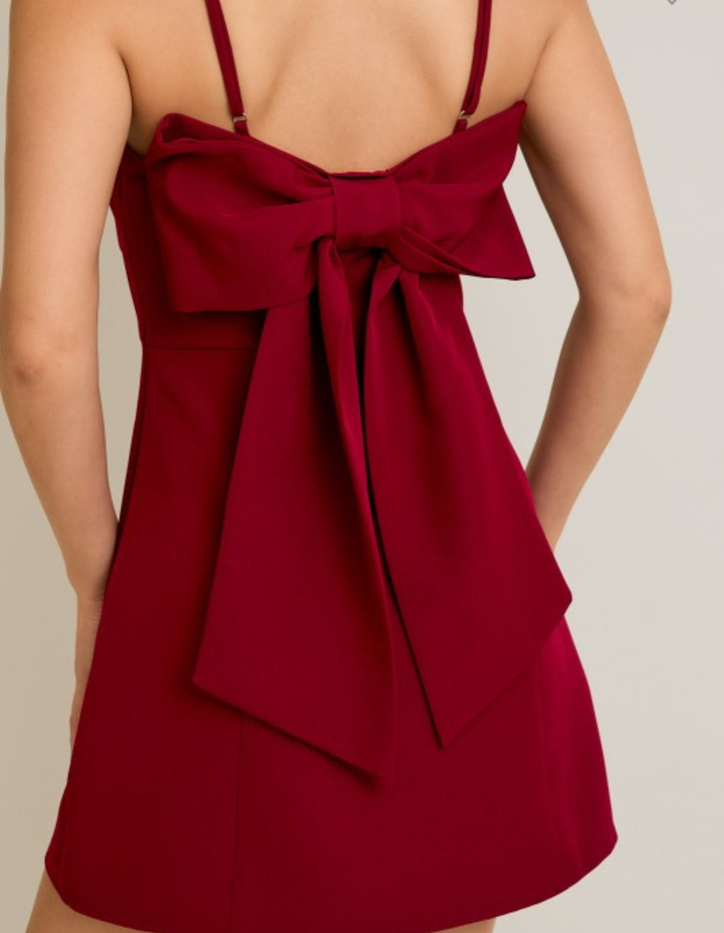 Daphne Mini Dress with Bow