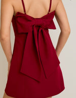 Daphne Mini Dress with Bow