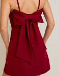 Daphne Mini Dress with Bow