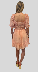 Maya ruffle mini dress-blush