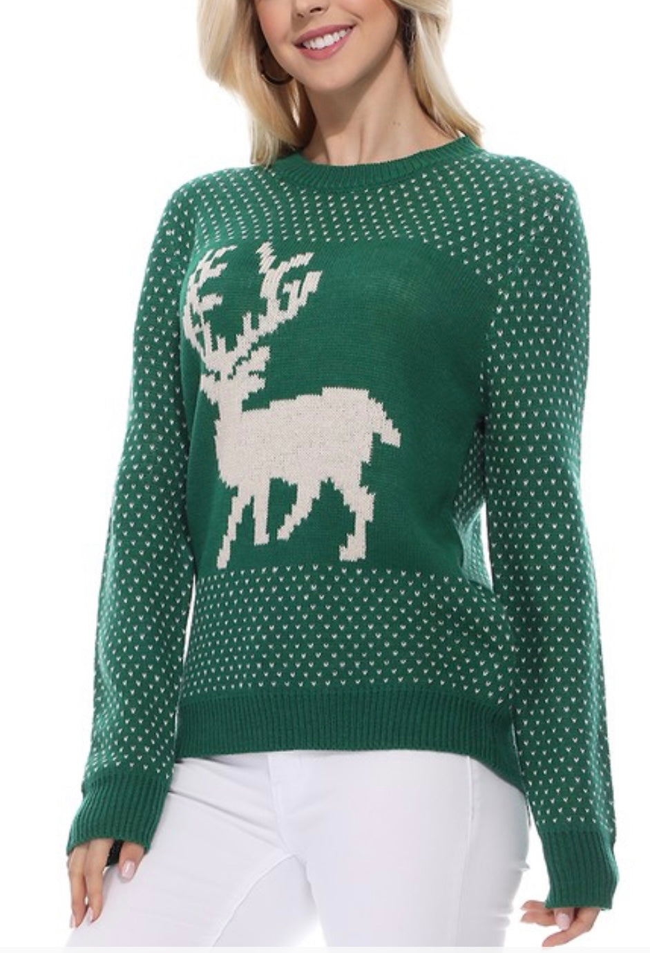Rudolph Christmas sweater